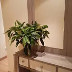 Raitán, Centro De A 400 M De La Playa Vut-2345-as Apartamento *