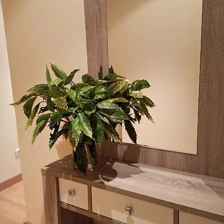 Raitan, Centro De A 400 M De La Playa Vut-2345-as 아파트 *